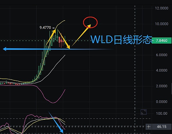 当爱情遇见比特币：一对新人的加密生存挑战
